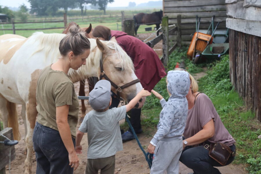 Stiftung der Wohnungsgenossenschaft Herrenhausen (WGH) spendet 2.500 Euro für heilpädagogisches Reiten